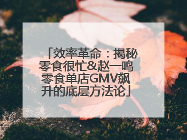效率革命：揭秘零食很忙&赵一鸣零食单店GMV飙升的底层方法论