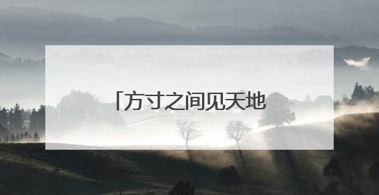 方寸之间见天地：从特区试验田到提振消费引擎