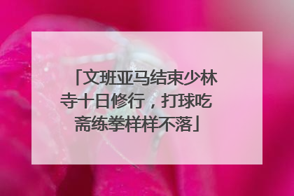 文班亚马结束少林寺十日修行，打球吃斋练拳样样不落