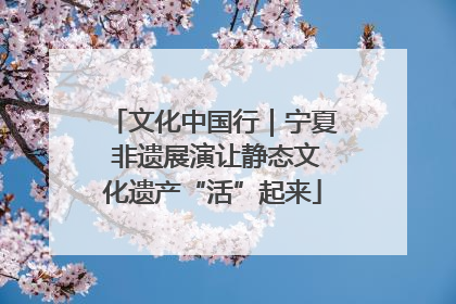 文化中国行｜宁夏 非遗展演让静态文化遗产“活”起来