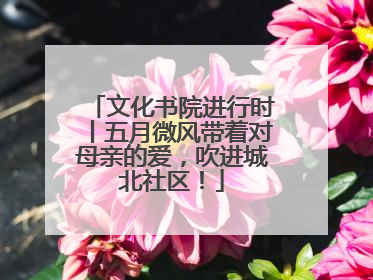 文化书院进行时丨五月微风带着对母亲的爱，吹进城北社区！