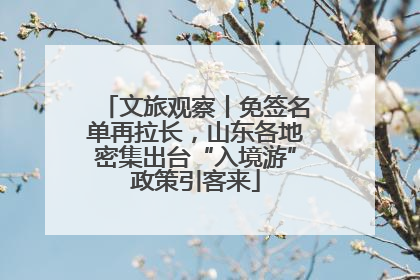 文旅观察丨免签名单再拉长，山东各地密集出台“入境游”政策引客来