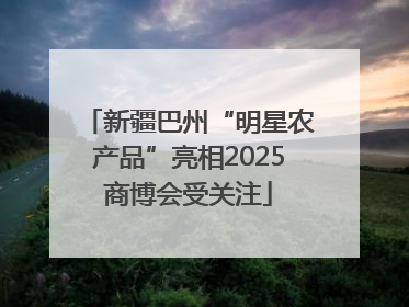 新疆巴州“明星农产品”亮相2025商博会受关注