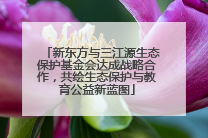 新东方与三江源生态保护基金会达成战略合作，共绘生态保护与教育公益新蓝图
