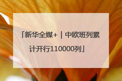 新华全媒+｜中欧班列累计开行110000列
