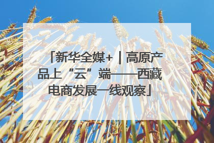 新华全媒+｜高原产品上“云”端——西藏电商发展一线观察