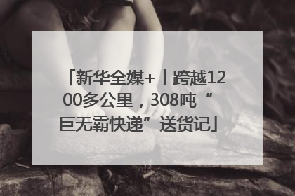 新华全媒+丨跨越1200多公里，308吨“巨无霸快递”送货记
