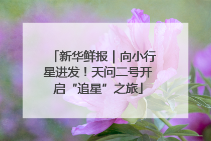 新华鲜报｜向小行星进发！天问二号开启“追星”之旅