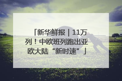 新华鲜报｜11万列！中欧班列跑出亚欧大陆“新时速”