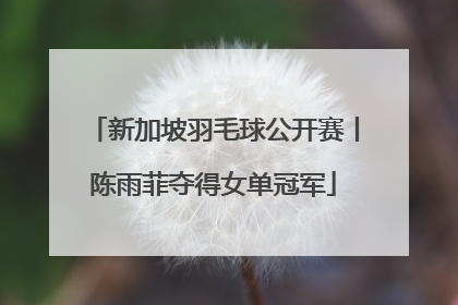 新加坡羽毛球公开赛丨陈雨菲夺得女单冠军