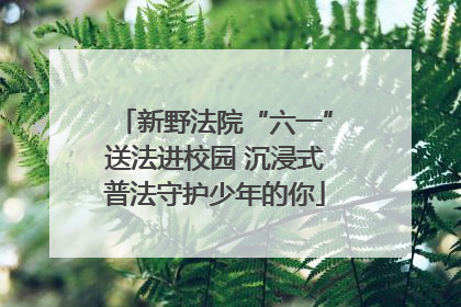 新野法院“六一”送法进校园 沉浸式普法守护少年的你