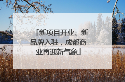 新项目开业、新品牌入驻，成都商业再迎新气象
