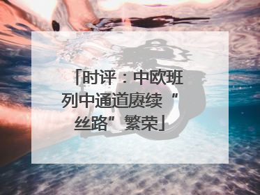 时评：中欧班列中通道赓续“丝路”繁荣