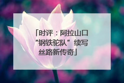 时评：阿拉山口“钢铁驼队”续写丝路新传奇