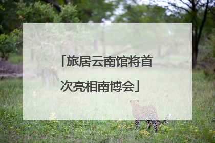旅居云南馆将首次亮相南博会