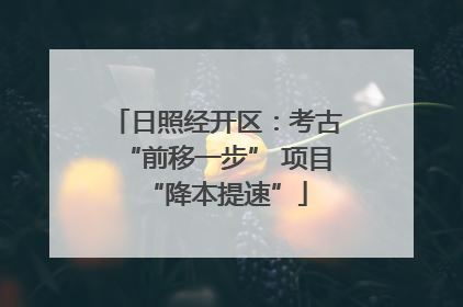 日照经开区：考古“前移一步” 项目“降本提速”