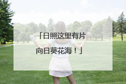 日照这里有片向日葵花海！