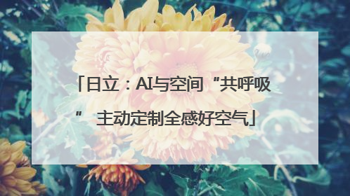 日立：AI与空间“共呼吸” 主动定制全感好空气