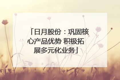 日月股份：巩固核心产品优势 积极拓展多元化业务