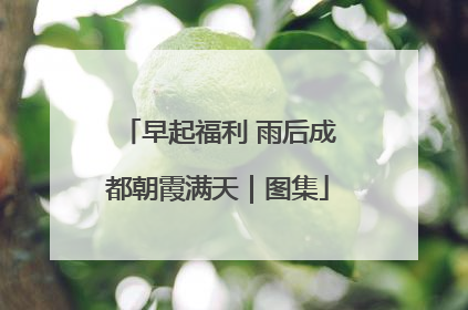 早起福利 雨后成都朝霞满天｜图集