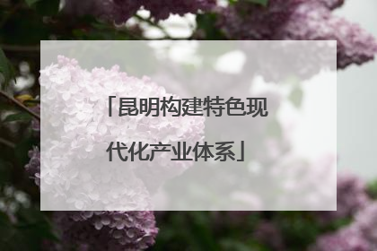 昆明构建特色现代化产业体系