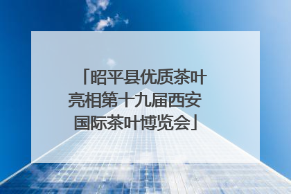 昭平县优质茶叶亮相第十九届西安国际茶叶博览会