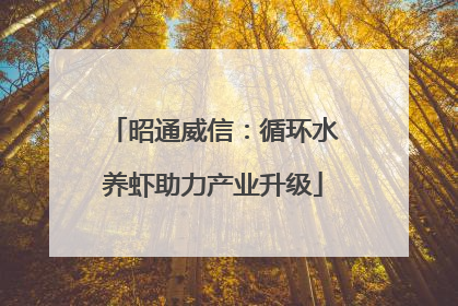 昭通威信：循环水养虾助力产业升级