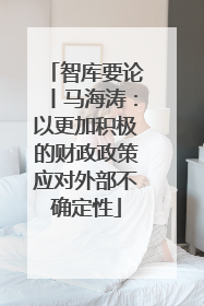 智库要论丨马海涛：以更加积极的财政政策应对外部不确定性