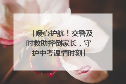暖心护航！交警及时救助摔倒家长，守护中考温情时刻