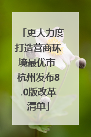 更大力度打造营商环境最优市 杭州发布8.0版改革清单