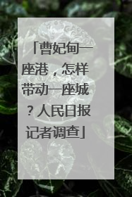 曹妃甸一座港，怎样带动一座城？人民日报记者调查