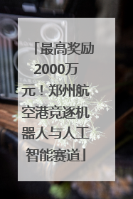 最高奖励2000万元！郑州航空港竞逐机器人与人工智能赛道
