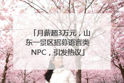 月薪超3万元，山东一景区招募语言类NPC，引发热议