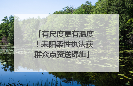 有尺度更有温度！耒阳柔性执法获群众点赞送锦旗