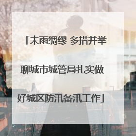 未雨绸缪 多措并举 聊城市城管局扎实做好城区防汛备汛工作