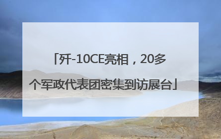 歼-10CE亮相，20多个军政代表团密集到访展台