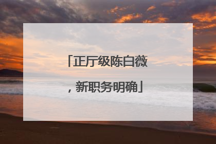正厅级陈白薇，新职务明确