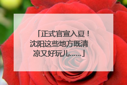 正式官宣入夏！沈阳这些地方既清凉又好玩儿……