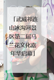 武威祁连山冰沟河景区第二届马兰花文化嘉年华启幕