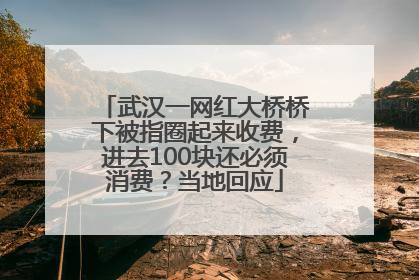武汉一网红大桥桥下被指圈起来收费，进去100块还必须消费？当地回应