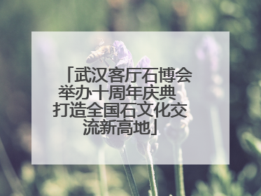 武汉客厅石博会举办十周年庆典 打造全国石文化交流新高地
