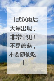 武汉雨后大量出现，非常罕见！不是蘑菇，不要随便吃