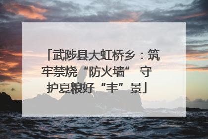 武陟县大虹桥乡：筑牢禁烧“防火墙” 守护夏粮好“丰”景