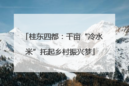 桂东四都：千亩“冷水米”托起乡村振兴梦