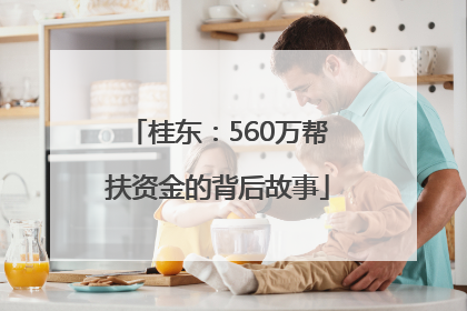 桂东：560万帮扶资金的背后故事