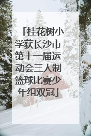 桂花树小学获长沙市第十一届运动会三人制篮球比赛少年组双冠