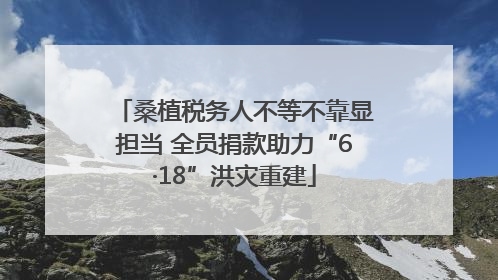 桑植税务人不等不靠显担当 全员捐款助力“6·18”洪灾重建