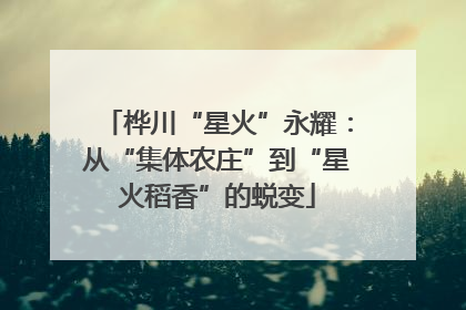 桦川“星火”永耀：从“集体农庄”到“星火稻香”的蜕变