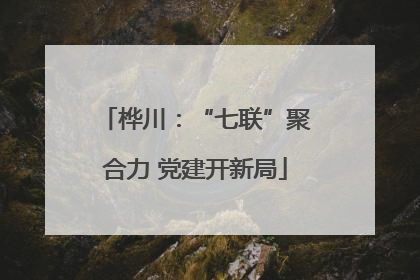 桦川：“七联”聚合力 党建开新局