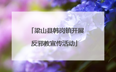 梁山县韩岗镇开展反邪教宣传活动